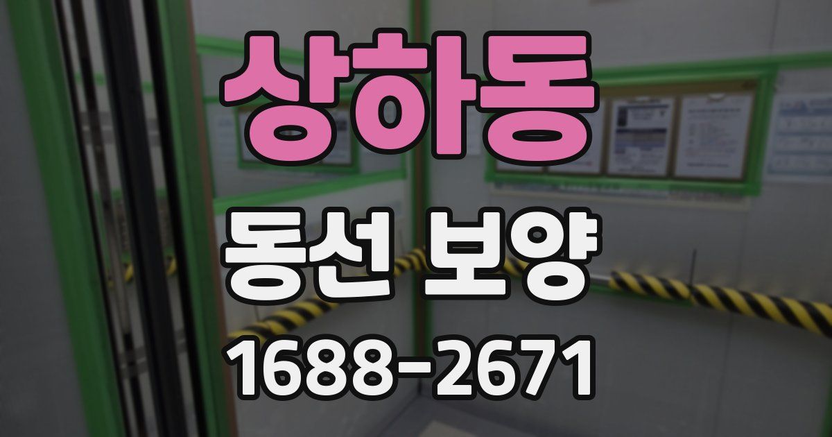 상하동 동선 보양