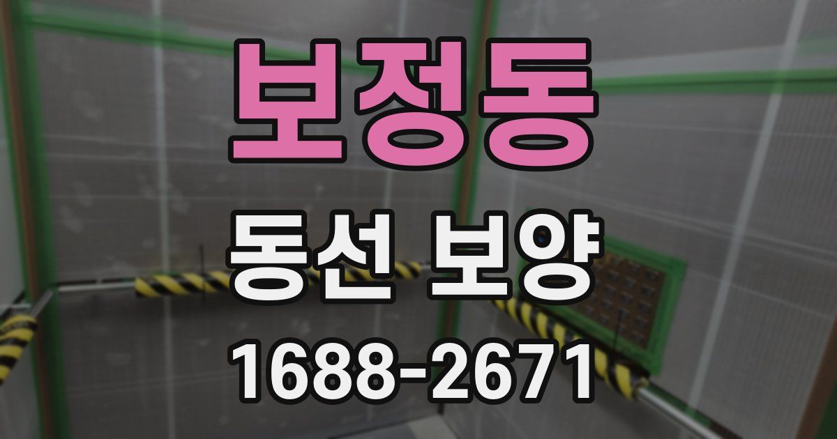보정동 동선 보양