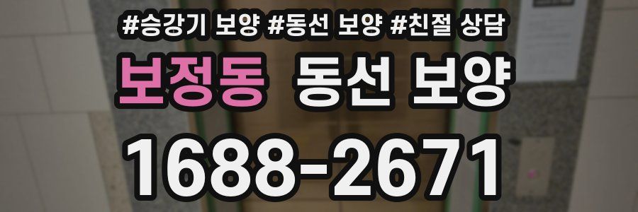 보정동 동선 보양