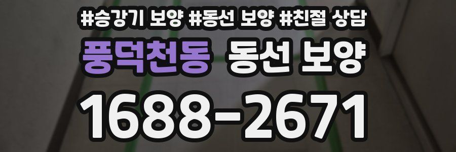 풍덕천동 동선 보양