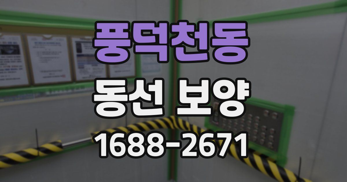 풍덕천동 동선 보양