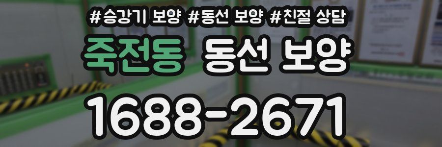 죽전동 동선 보양