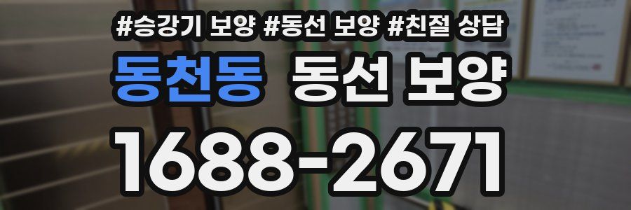 동천동 동선 보양