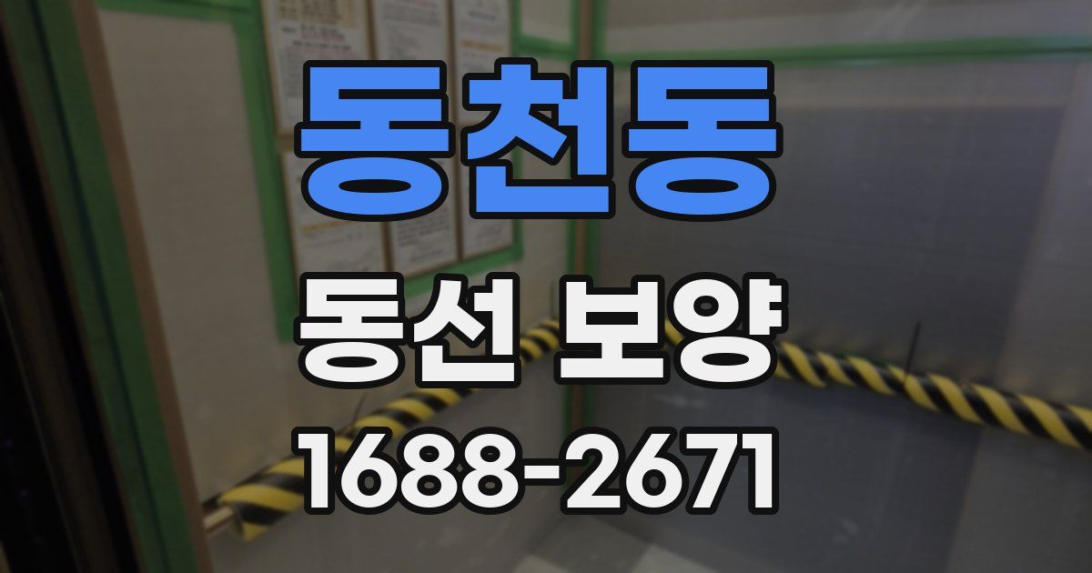 동천동 동선 보양