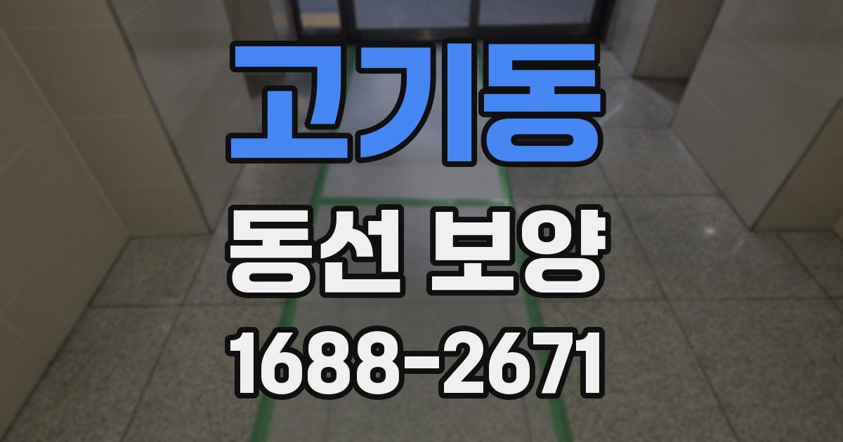 고기동 동선 보양