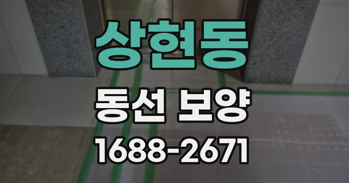 상현동 동선 보양