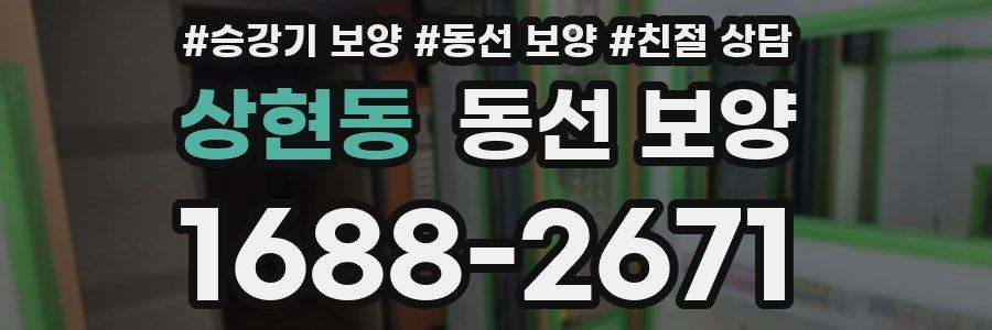 상현동 동선 보양
