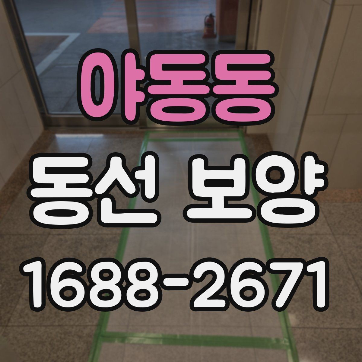 야동동 동선 보양 전후로 체크해야 할 사항