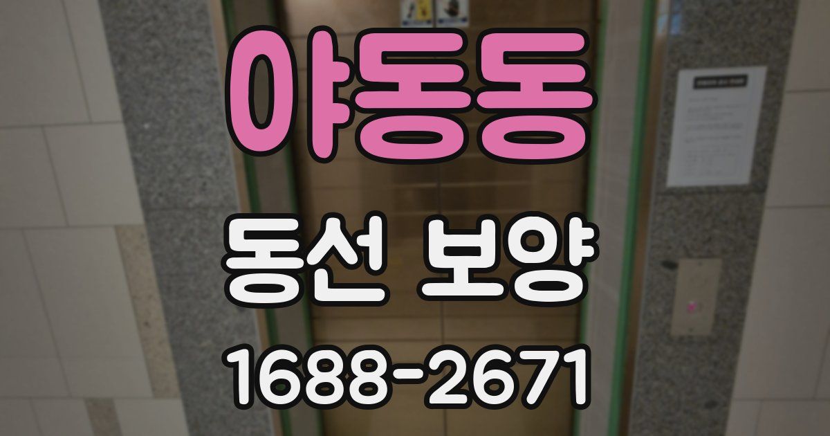 야동동 동선 보양