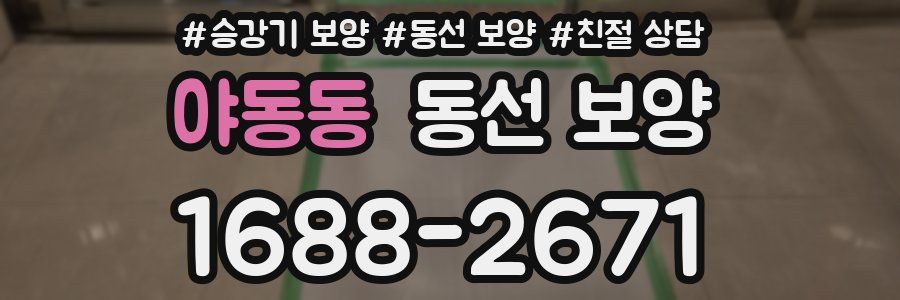 야동동 동선 보양