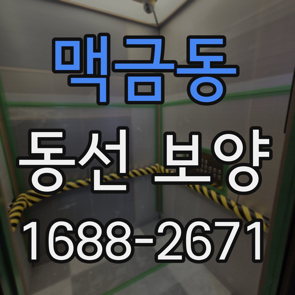 맥금동 동선 보양