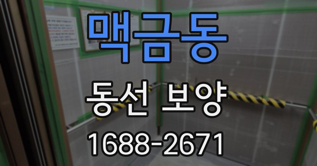 맥금동 동선 보양