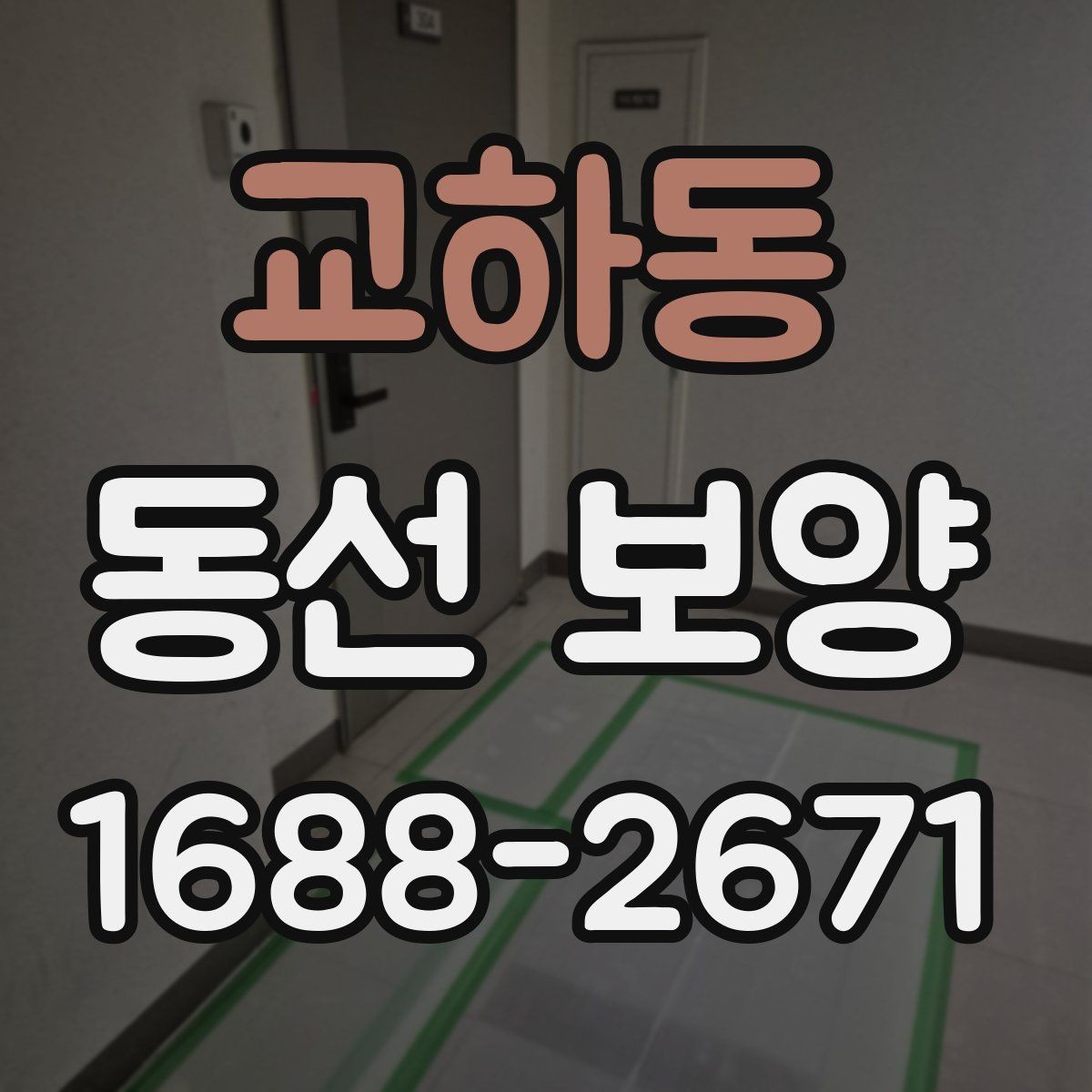 교하동 동선 보양 일정 잡을 때 참고할 내용
