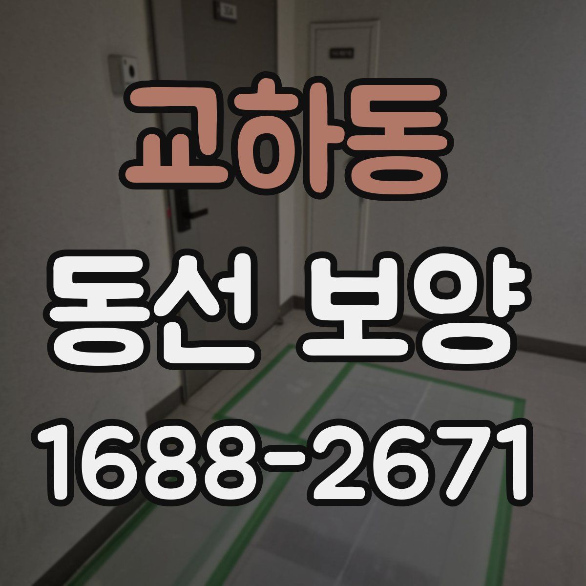 교하동 동선 보양