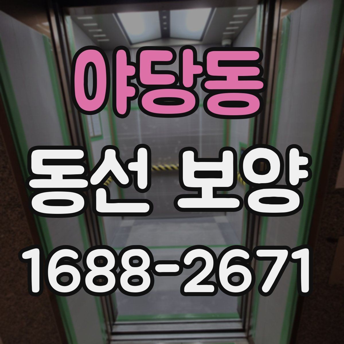 야당동 동선 보양 진행 시 작업자 체크리스트