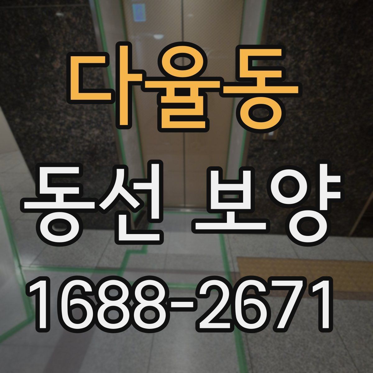 다율동 동선 보양 적용 범위를 정하는 실무 기준
