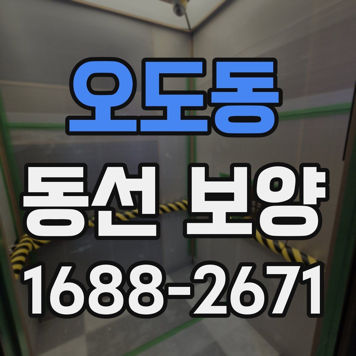 오도동 동선 보양 진행 시 작업자 간 협업이 중요한 이유