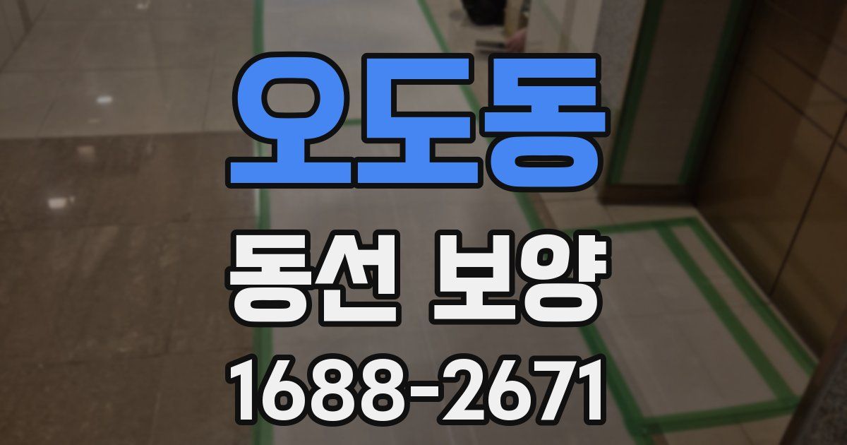 오도동 동선 보양