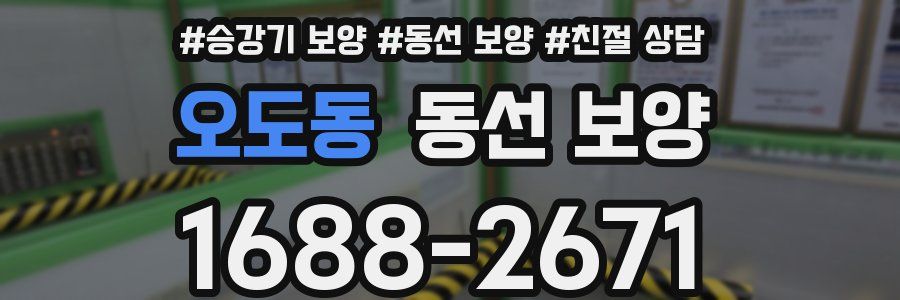 오도동 동선 보양