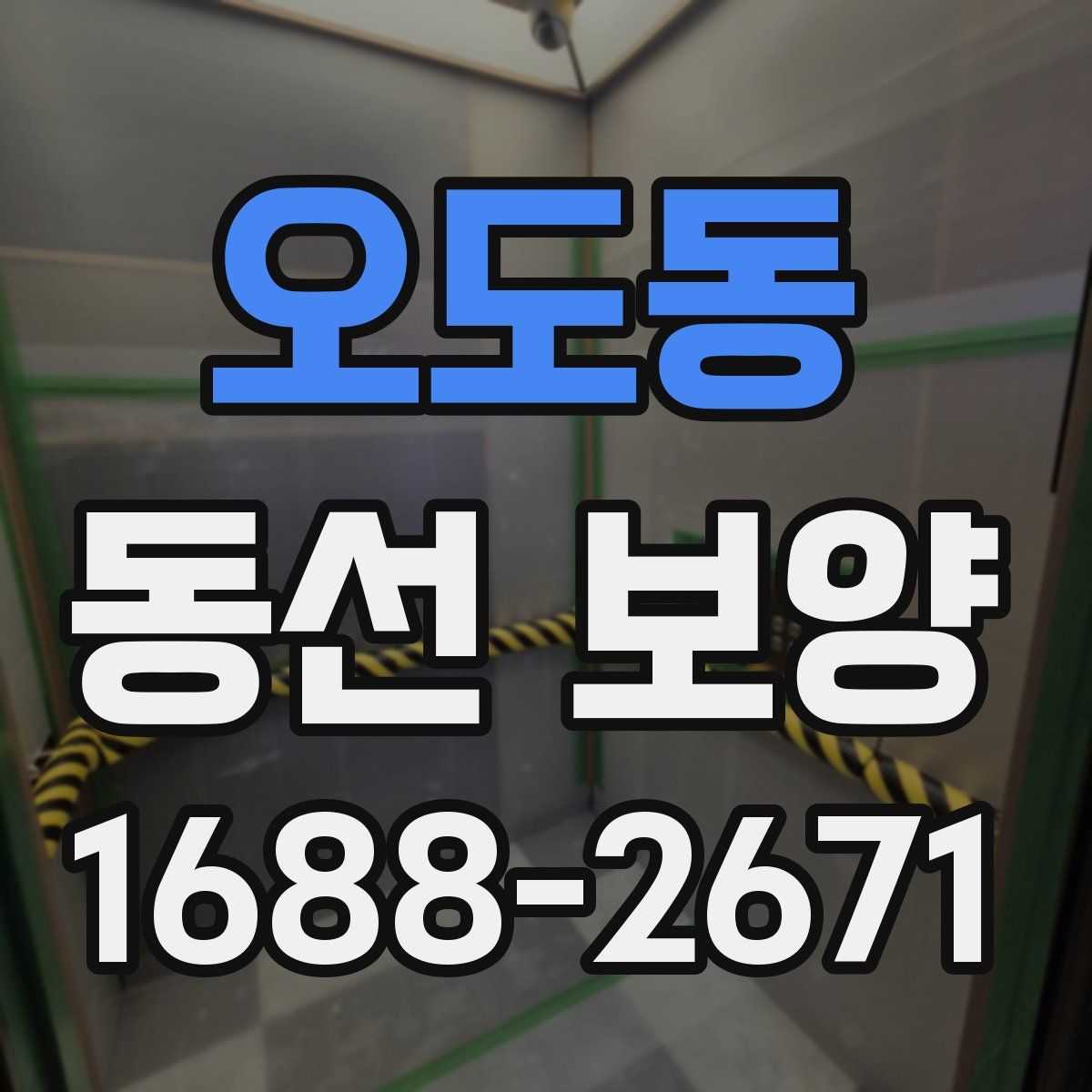 오도동 동선 보양