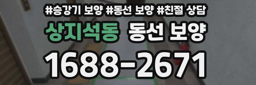 상지석동 동선 보양