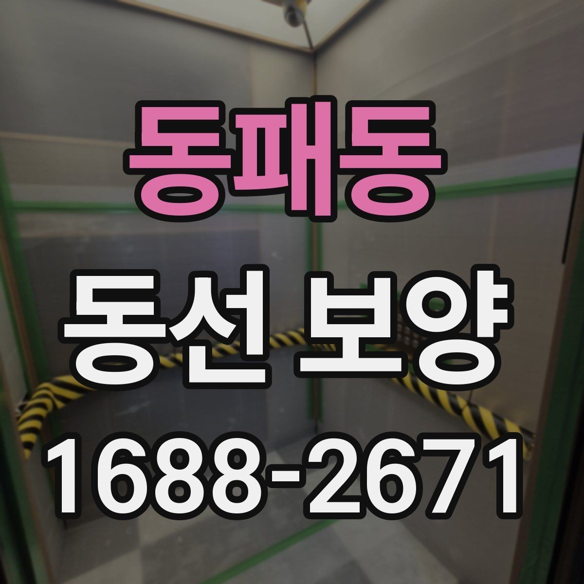 동패동 동선 보양 시 필요한 안전 수칙과 보호 장비