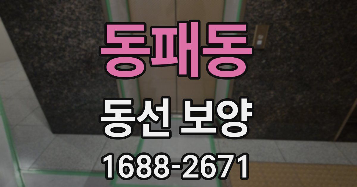 동패동 동선 보양