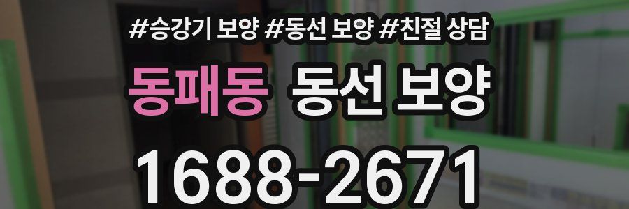 동패동 동선 보양