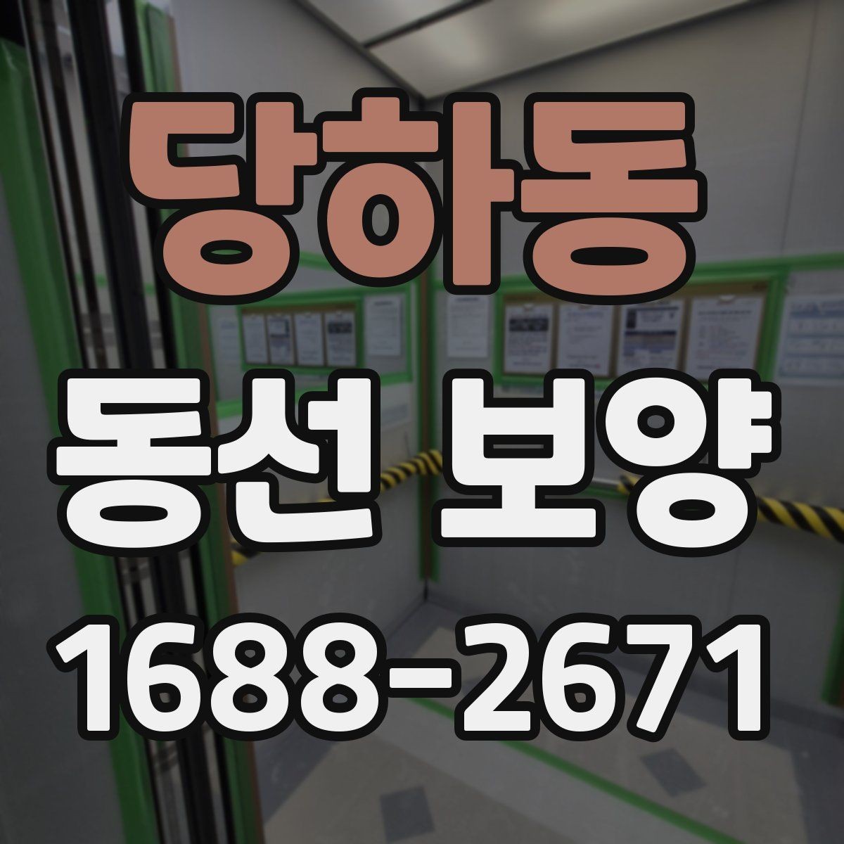 당하동 동선 보양 비용은 무엇에 따라 달라질까
