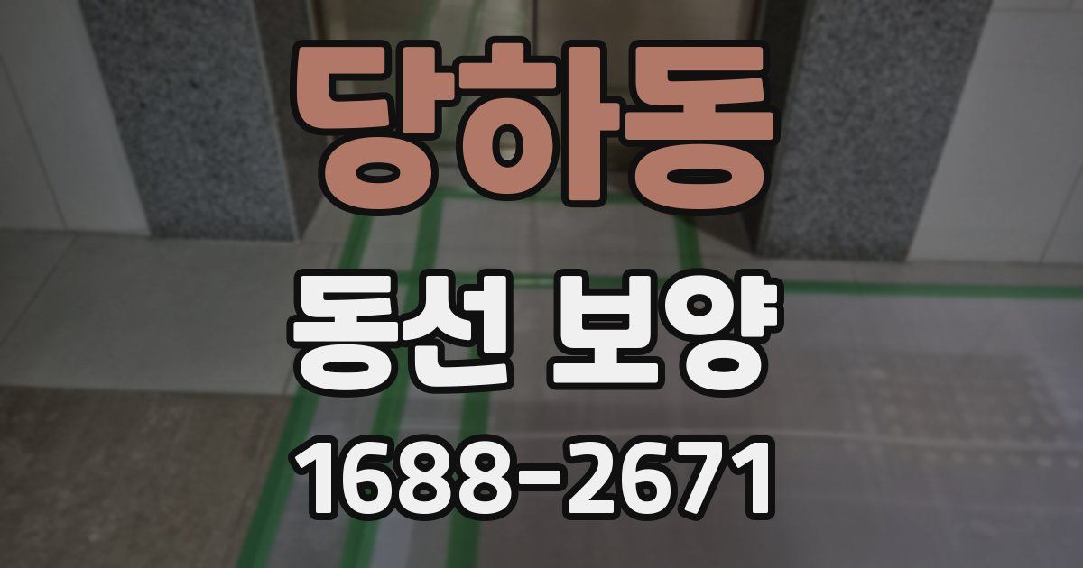 당하동 동선 보양