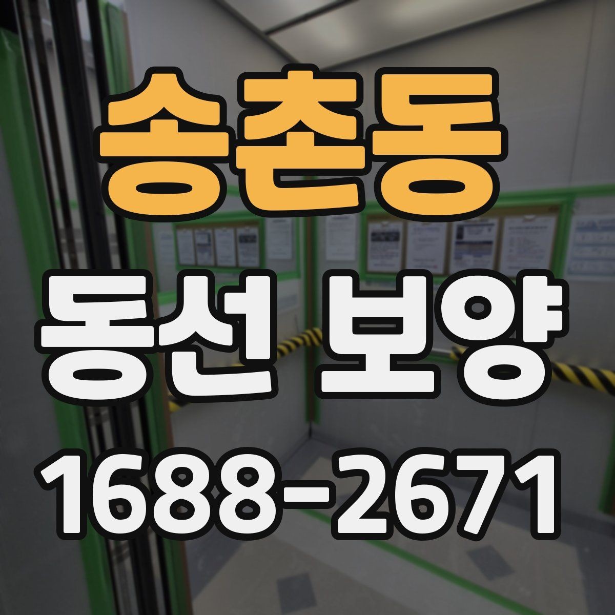 송촌동 동선 보양 현장별 적용 사례와 특징