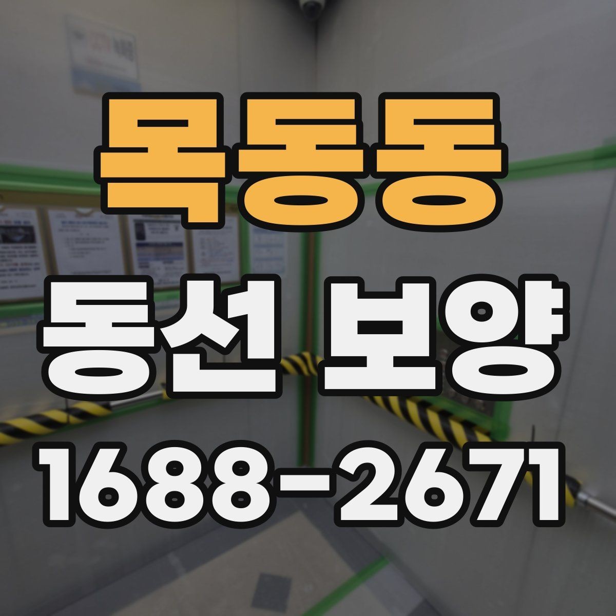 목동동 동선 보양 범위와 작업 흐름 알아보기