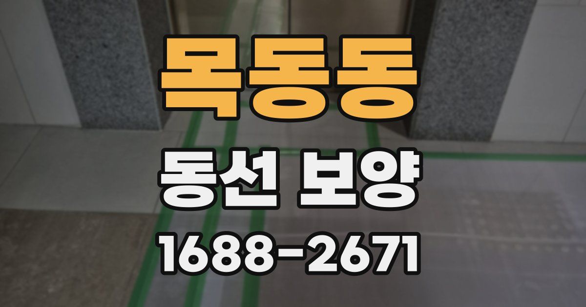 목동동 동선 보양