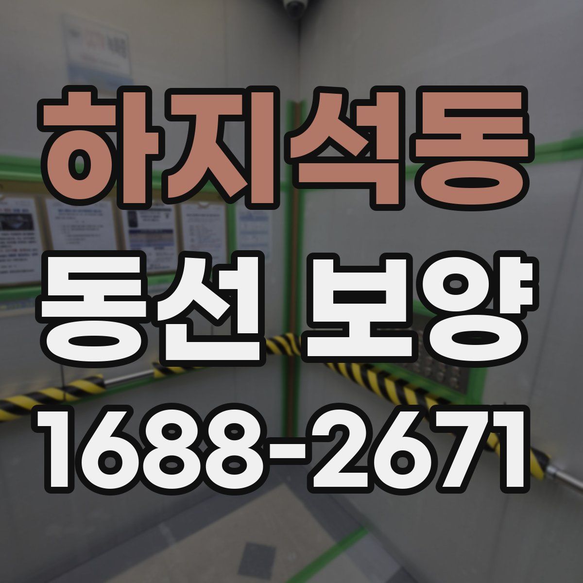 하지석동 동선 보양