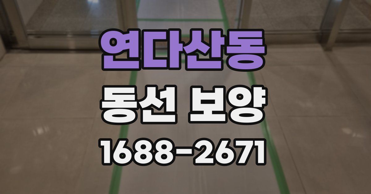 연다산동 동선 보양