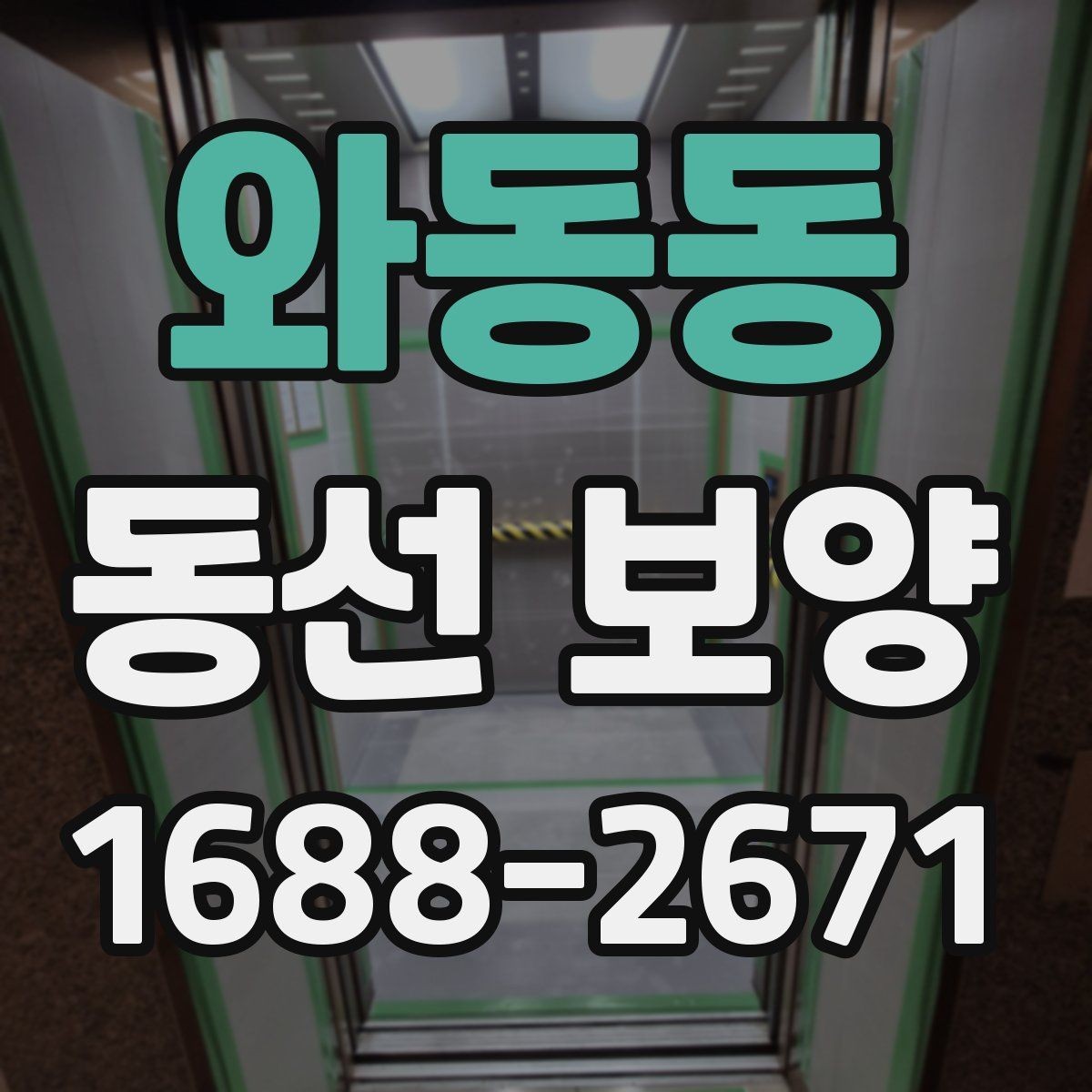 와동동 동선 보양 견적서에서 확인할 핵심 항목