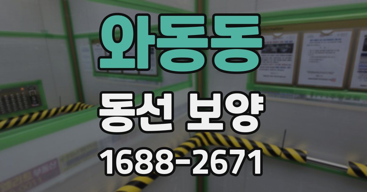 와동동 동선 보양