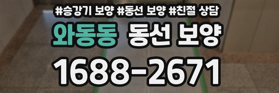 와동동 동선 보양