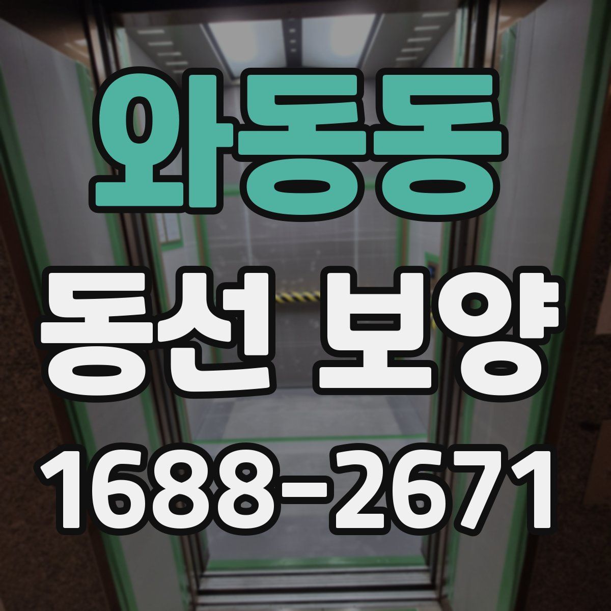 와동동 동선 보양