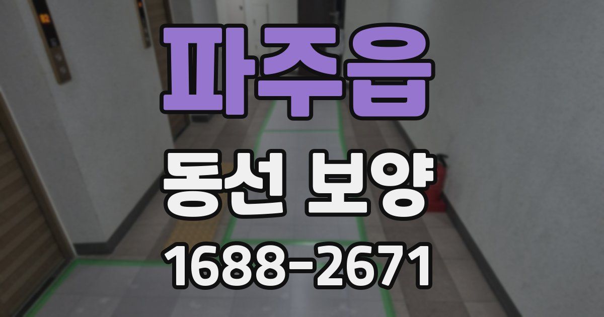 파주읍 동선 보양
