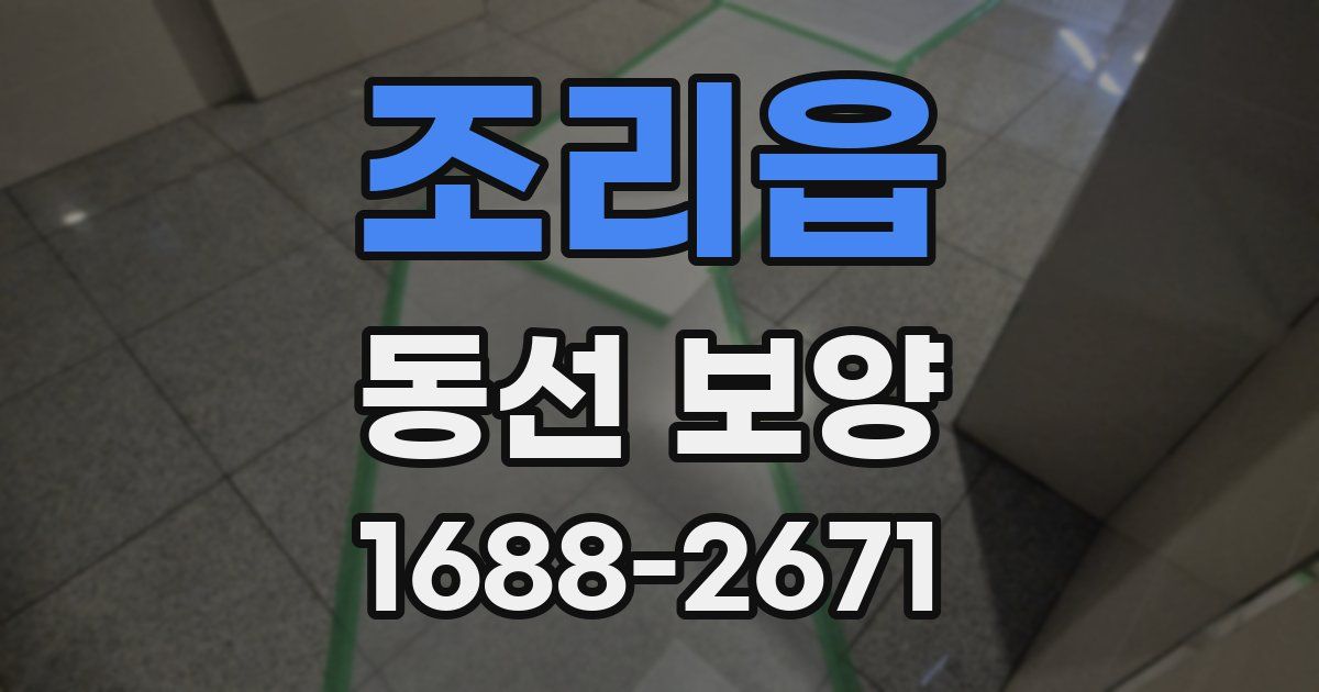 조리읍 동선 보양