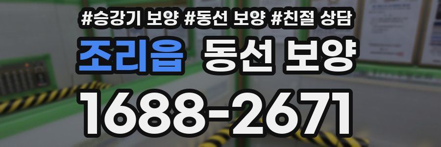 조리읍 동선 보양