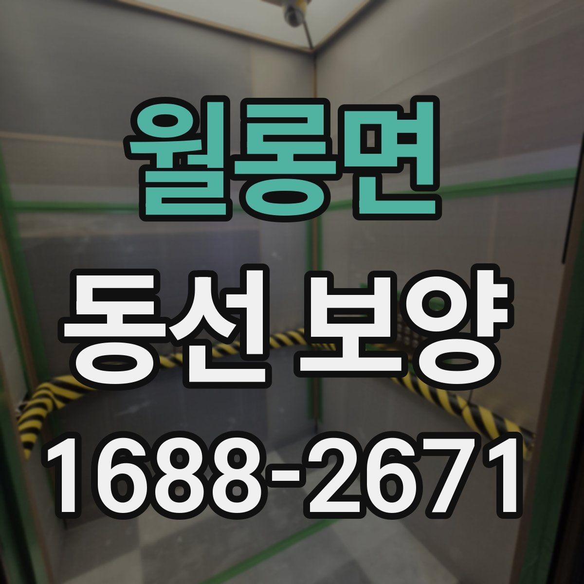 월롱면 동선 보양 공정에서 누락하기 쉬운 단계