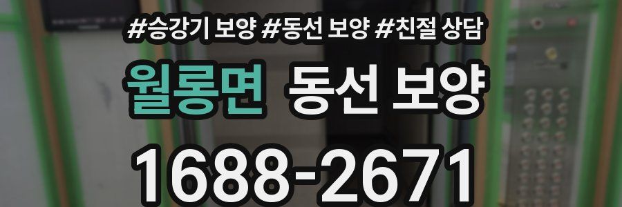 월롱면 동선 보양
