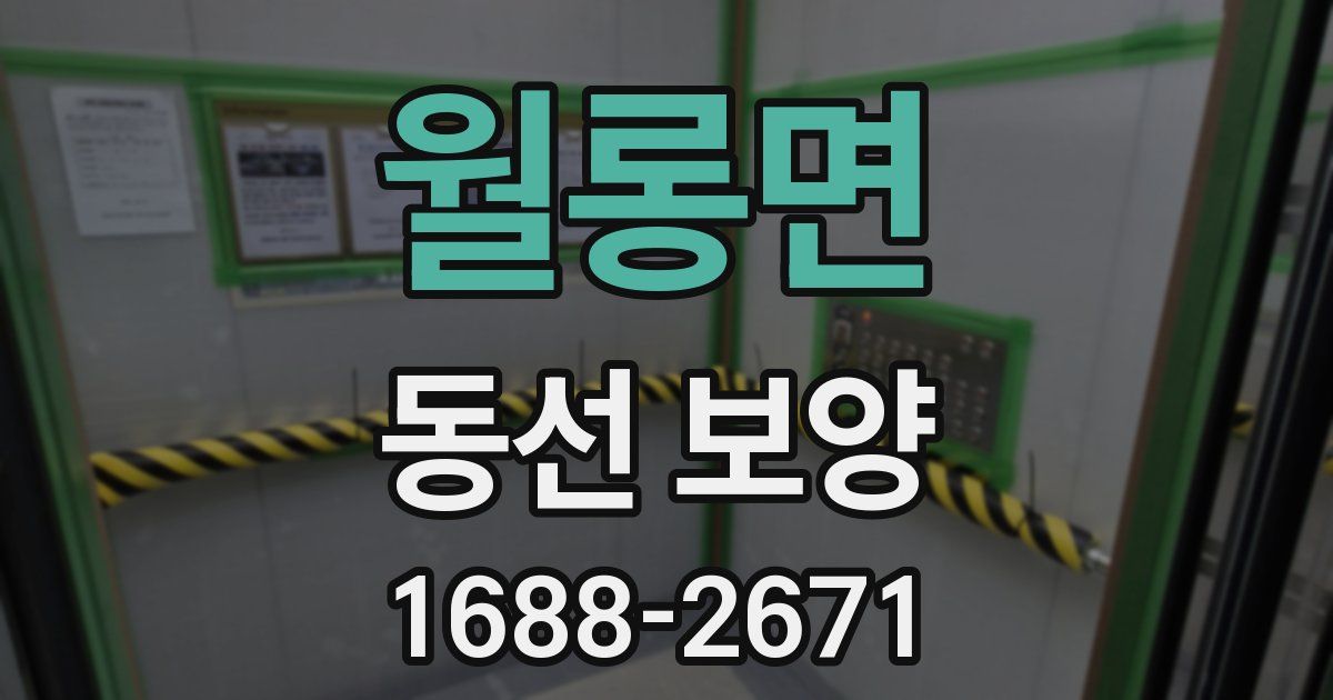 월롱면 동선 보양