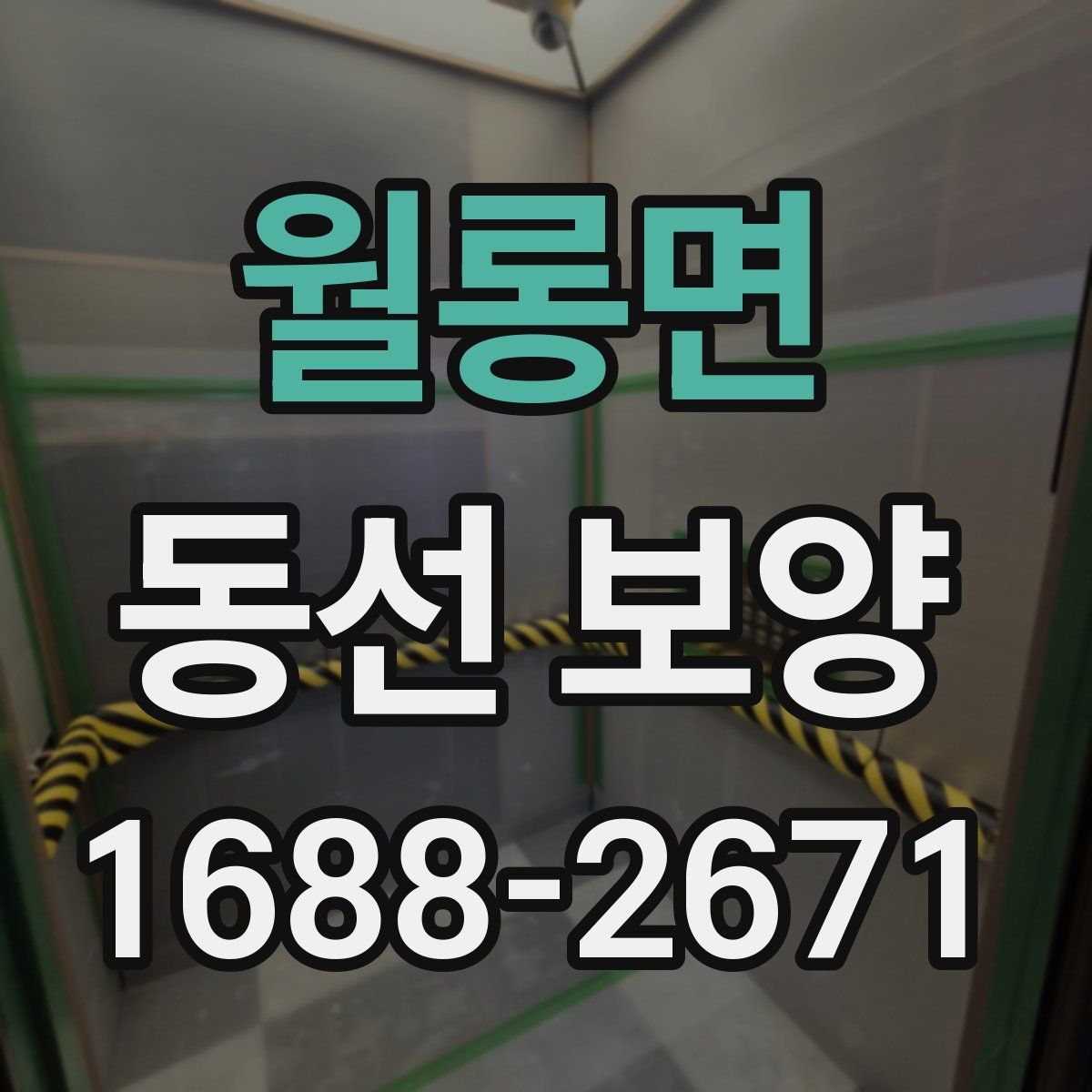 월롱면 동선 보양