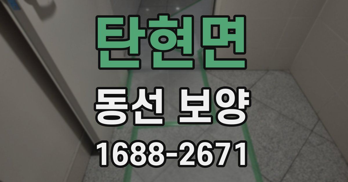 탄현면 동선 보양