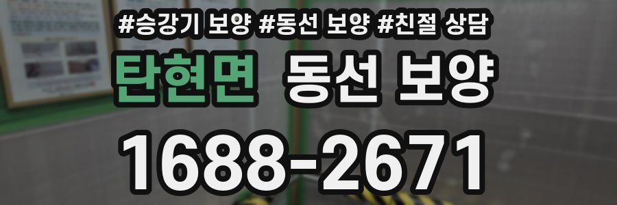 탄현면 동선 보양