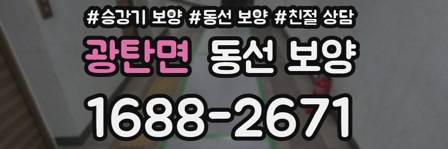 광탄면 동선 보양