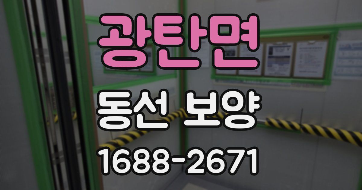 광탄면 동선 보양